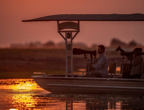 SA Travel Indaba Review- for BBC Storyworks
