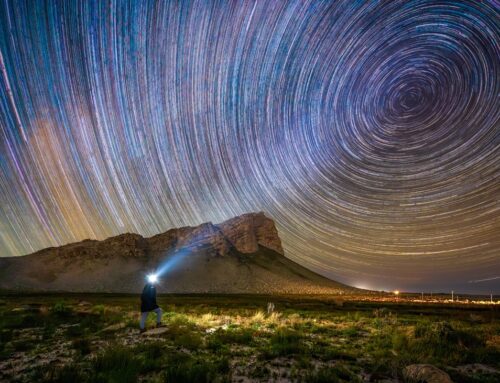 The Photos That Captured South Africa’s Wild Beauty and Won
